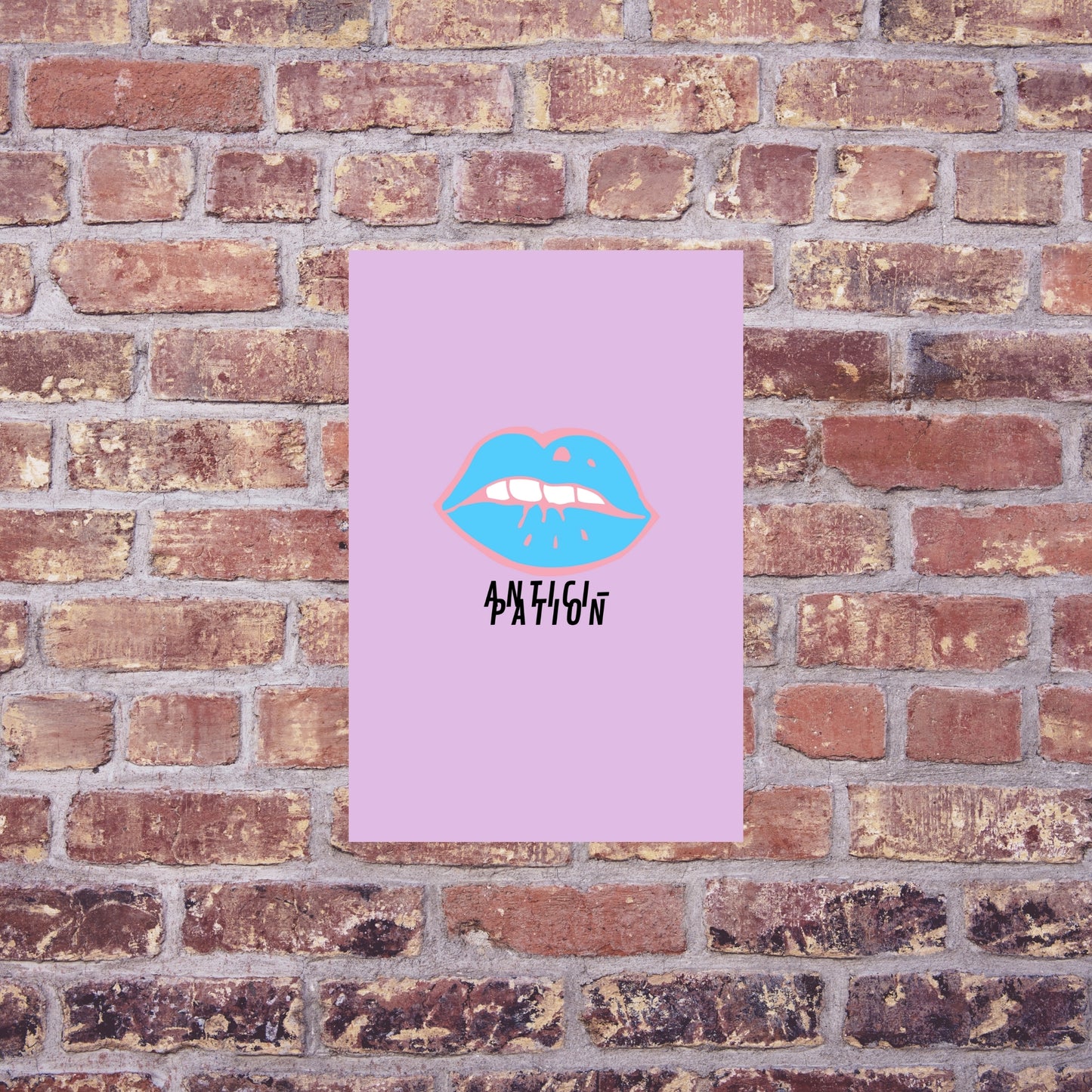 Antici-pation print - Trans flag colour palette